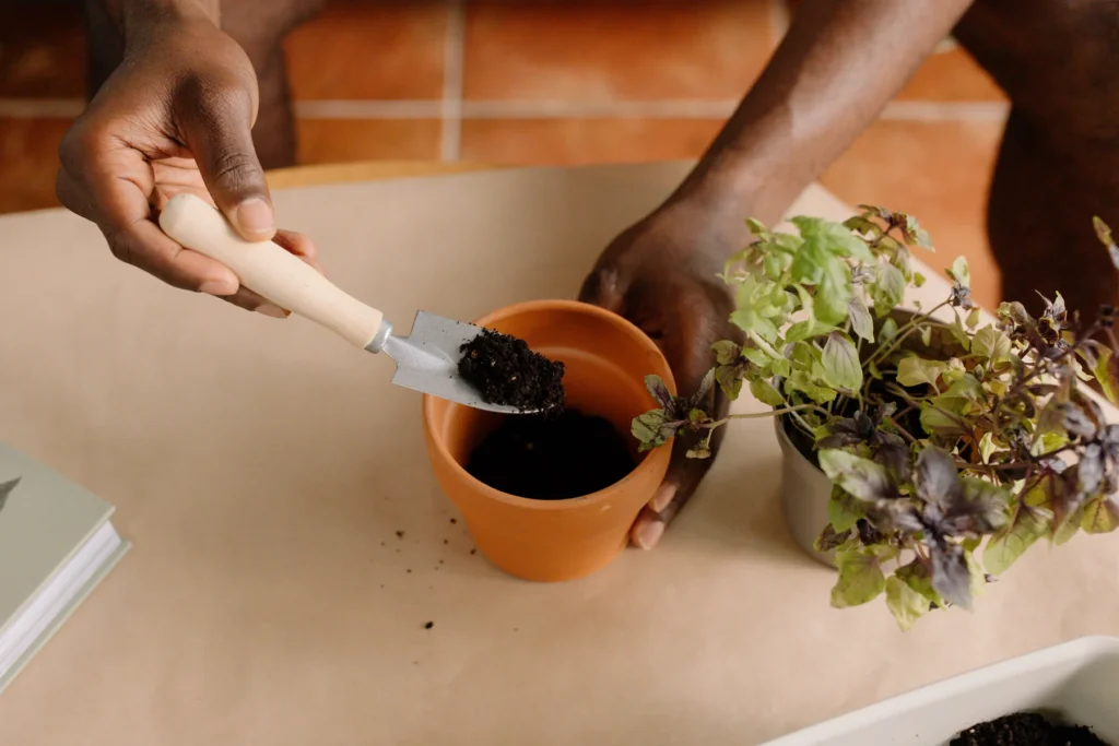 Pessoa trabalhando com terra e ervas culinárias em um vaso durante o plantio.